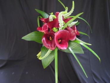 burgundy mini callas with hosta leaves and foxtail wedding bouqu