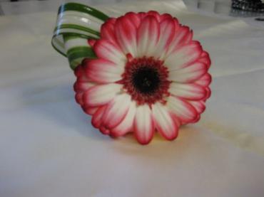 Variagated mini gerbera daisy set on variagated greens for the G